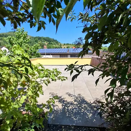 Διαμέρισμα 3 Bedroom Im Haus Frey, Parkplatz, Auch Einzelbetten *