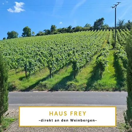 公寓 Sonnenberg Im Haus Frey 2 Bedroom Kueche, Bad, Parken 莱因斯韦勒