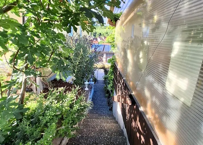 Sonnenberg Im Haus Frey 2 Bedroom Kueche, Bad, Parken Leinsweiler