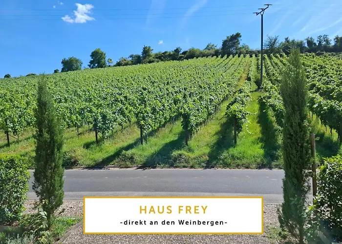 公寓 Sonnenberg Im Haus Frey 2 Bedroom Kueche, Bad, Parken 莱因斯韦勒